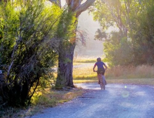 Qu’est-ce que l’écomobilité et pourquoi ça vous concerne ?