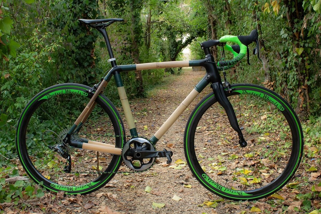 Vélo en forêt - Boca Cycles