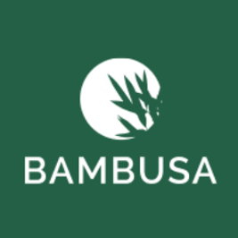 Bambusa